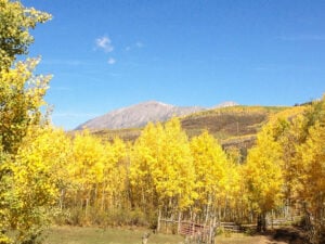 Stephens Cabin